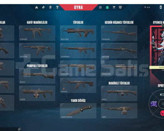 Dia 1 SMURF UYGUNA