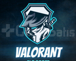 VALORANT UCUZA GÜVENİLİR HIZLI ELO BOOST