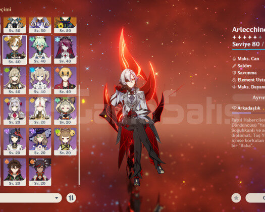 EU AR55 / 9x5 + 3 Silah