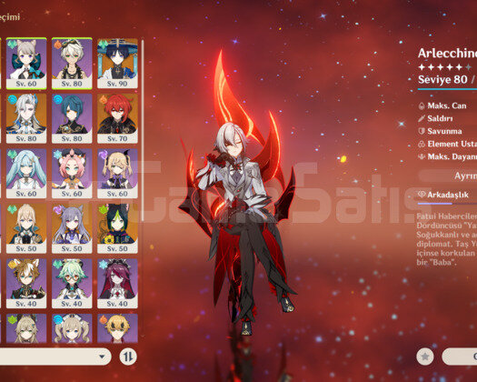 EU AR55 / 9x5 + 3 Silah