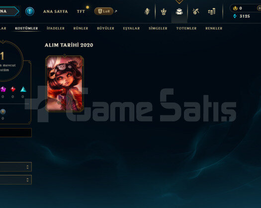 TR DEMİR 1 S10 HESABI