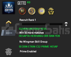 CS2 Prime | 4 Madalya | Yeşil Faktör + Garanti R3