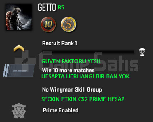 CS2 Prime | 3 Madalya | Yeşil Faktör + Garanti R5