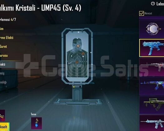 4 TANE XSUİT BUZ M4 4 SV BUZ UMP 4 ÇEREZ