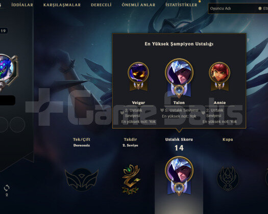 EUW 2011 MAIL ONAYSIZ JUDGEMENT KAYLE