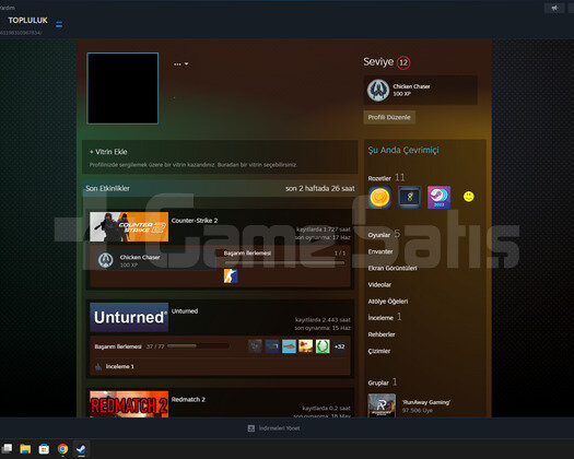 CS GO SEÇKİN BANSIZ +1700 SAAT +PAYDAY 2