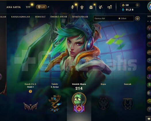 EUW 171 LEVEL BOL GANİMETLİ KOSTÜMLÜ HESAP