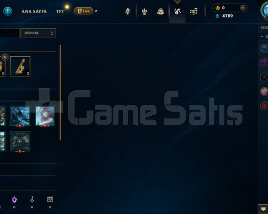 TR DİA4 HANDMADE ELLE KASILMIŞ HESAP 42 LEVEL