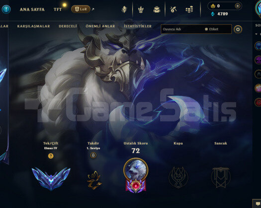 TR DİA4 HANDMADE ELLE KASILMIŞ HESAP 42 LEVEL