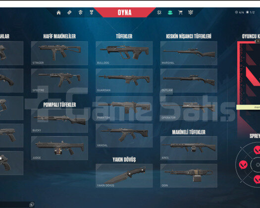 Dia 1 SMURF UYGUNA
