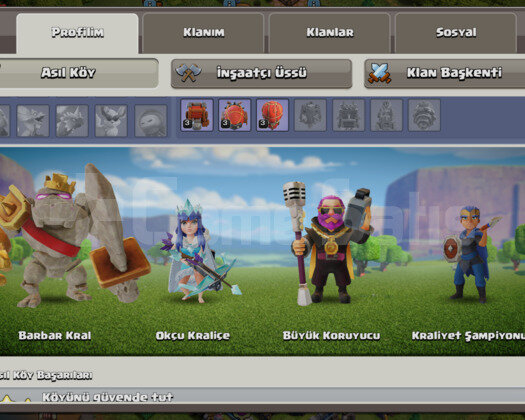 185 LVL | BB 13 | SKİNLİ HESAP