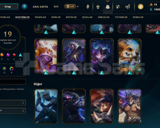 Plat 2 +30Lp 19 Skin 5Efsanevi 9 Destansı