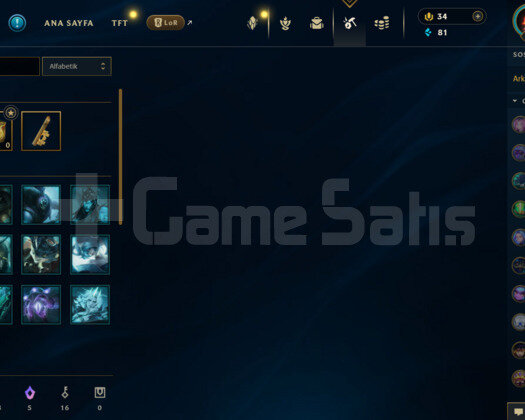 98 LEVEL 22 SKİNLİ MAİNLEMELİK MAİL DEĞİŞİR