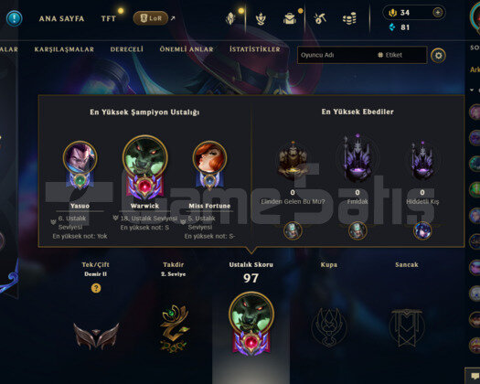 98 LEVEL 22 SKİNLİ MAİNLEMELİK MAİL DEĞİŞİR