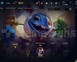 TR Unranked | 2 Kostüm - 35 Hero | LoL Hesap