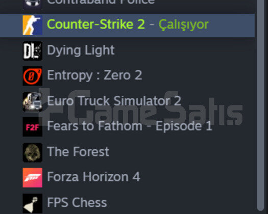 CS GO SEÇKİN HESAP + OYUN