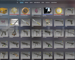 CS GO SEÇKİN HESAP + OYUN