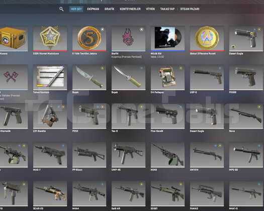 CS GO SEÇKİN HESAP + OYUN