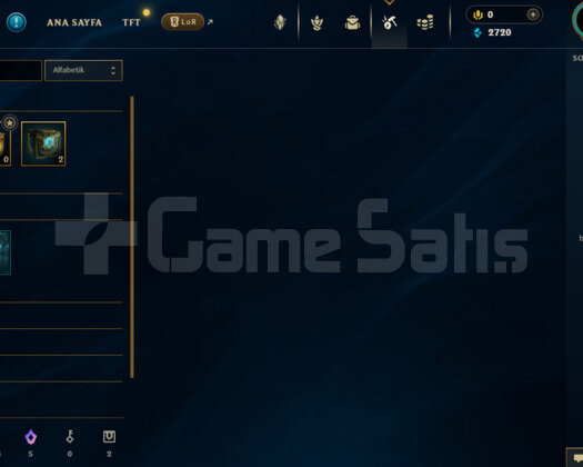 TR ELMAS 4 TERTEMİZ ADC MAİNLİK HESAP
