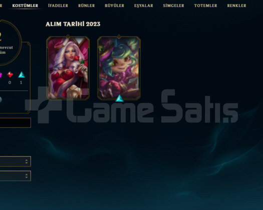 2 SKIN 33 HERO 2022 KURULUM HANDMADE UNRANKED