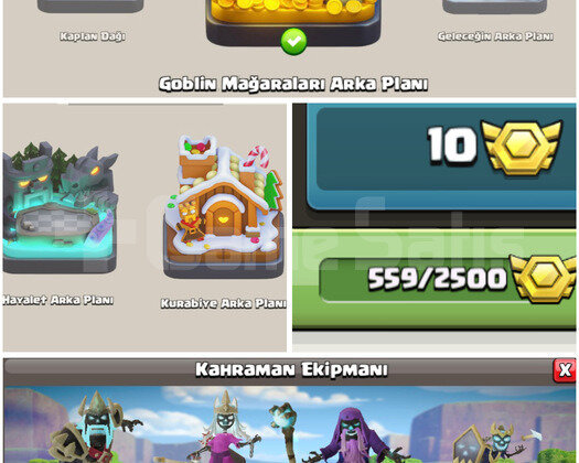 IDSİZ 5 ARKAPLAN 37 KOSTÜMLÜ MAX BB16