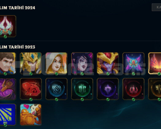 2023 KURULUM 1 KOSTUM 23 HERO HANDMADE UNRANKED