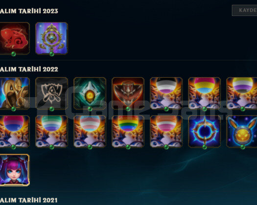 2 EFSANEVI 10 SKIN 34 HERO DEMIR 2 HANDMADE HESAP