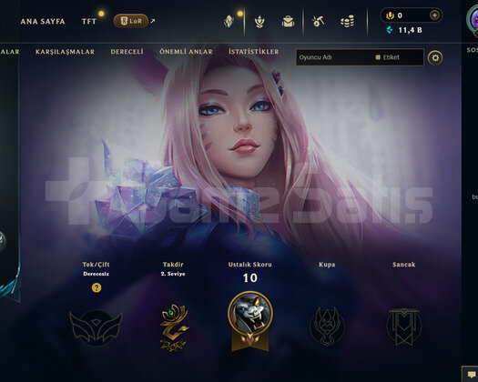 EUW Geçen Sezon Plat |1 Kostüm - 22 Hero | LoL