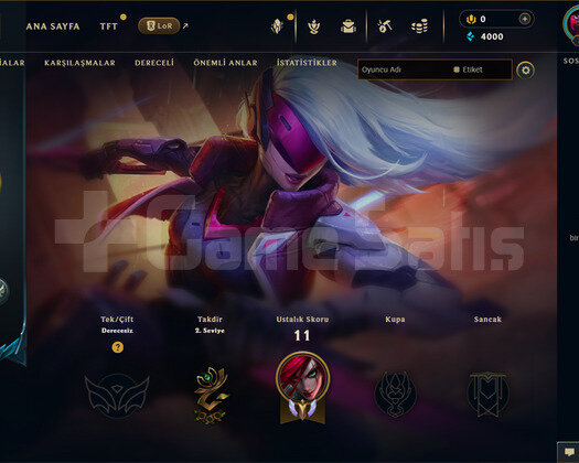 EUW Geçen Sezon Plat | 1 Kostüm - 29 Hero | LoL