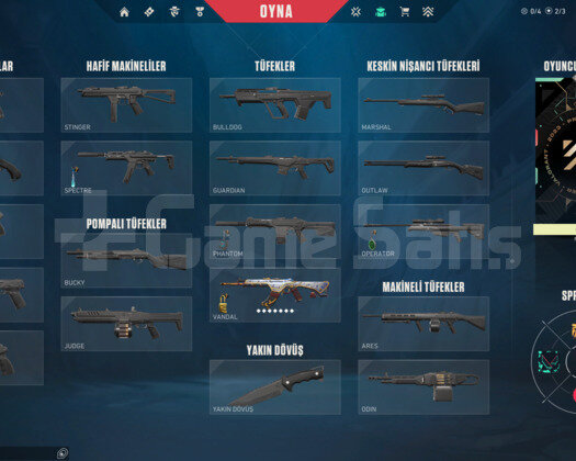 ONİ VANDAL/84 LVL/GÜMÜŞ RANK/
