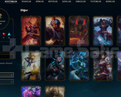 2012 KAYIT 12 SKIN 37 HERO NADIR SIMGELI TOTEMLI