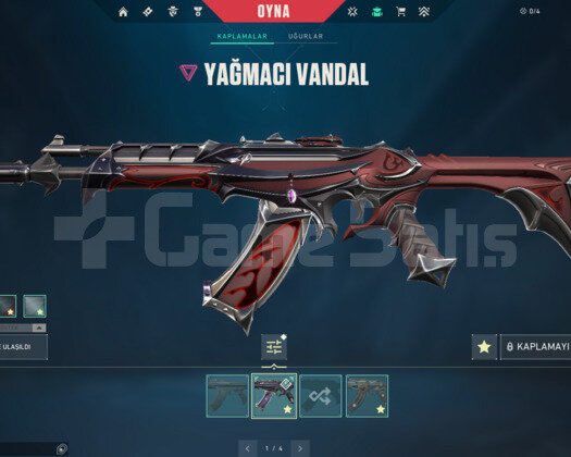 YAĞMACI VANDAL - SİHİRPUNK VANDAL - MAİL DEĞİŞEN