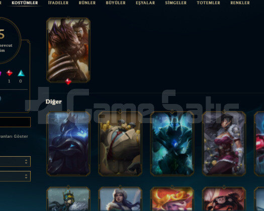 15 KOSTUM 58 HERO NADIR SIMGELI HESAP