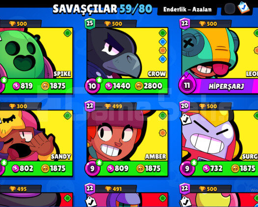 24000 KUPALI + ELMASLI + SKİNLİ BRAWL STARS HESABI