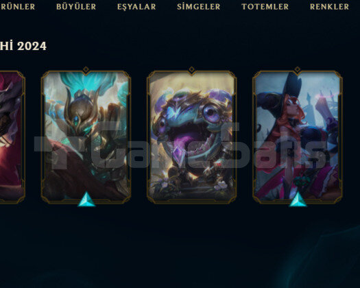 33 LEVEL / GEÇEN SEZON PLAT / BOL KOSTÜM