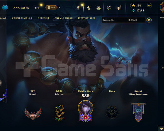 TR 410 LEVEL FULL HERO 113 KOSTUM 18 RENK