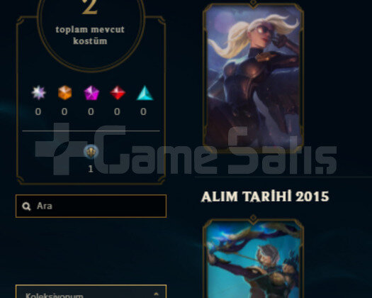 30SV HANDMADE UNRANKED 2 SKIN 50 HERO BJK SIMGELI