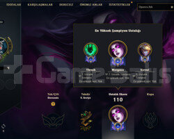 30SV HANDMADE UNRANKED 2 SKIN 50 HERO BJK SIMGELI