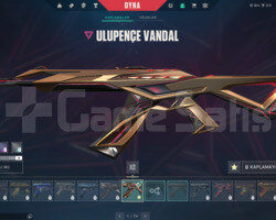 ULUPENÇE VANDAL/UNRANKED/39 LVL