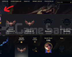 RUH DOVUSCUSU SAMIRA 10 KOSTUM 50 HERO GOBLIN ACC