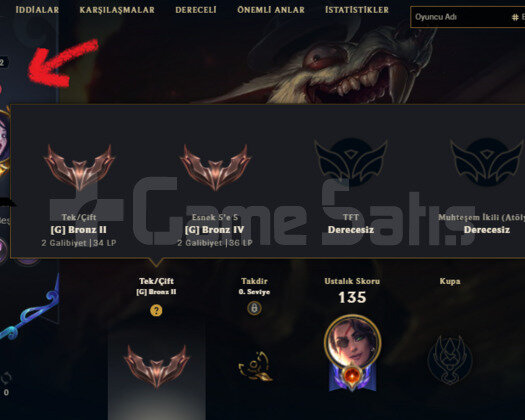 RUH DOVUSCUSU SAMIRA 10 KOSTUM 50 HERO GOBLIN ACC