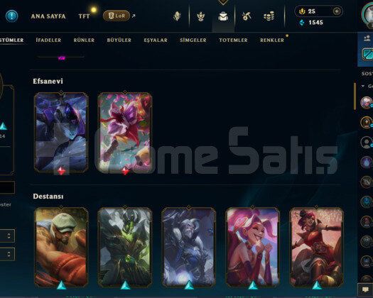 TR/85 SKİN/130 CHAMP/74LVL/9 YILLIK HESAP