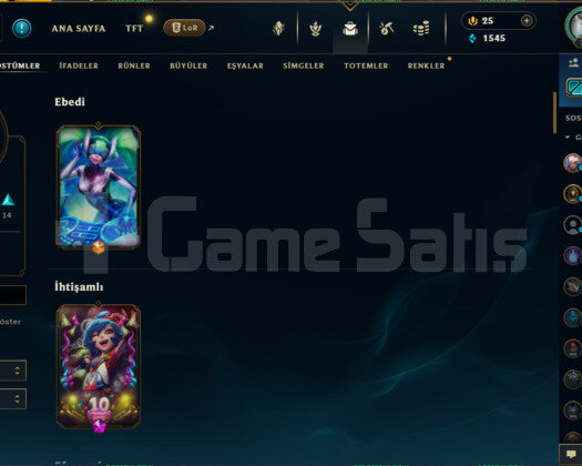 TR/85 SKİN/130 CHAMP/74LVL/9 YILLIK HESAP