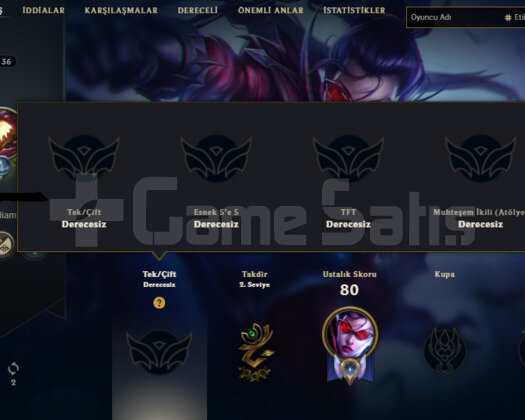 TR 7 SKIN 24 HERO HANDMADE RUYA EJDERI YASUOLU