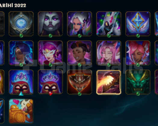 TR 7 SKIN 24 HERO HANDMADE RUYA EJDERI YASUOLU