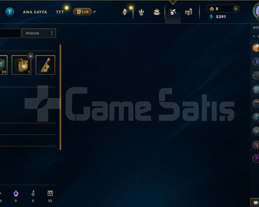 90 LEVEL UNRANKED 25 SKİNLİ HANDMADE MAİL DEĞİŞİRR