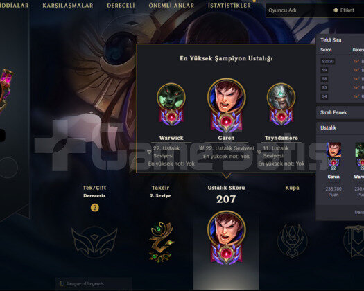 EUW 2014 - 145K MAVI OZ - RARE SIMGELER -  USTALIK
