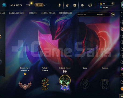 ZED MAİNLEMELİK HANDMADE 16 SKİNLİ MAİL DEĞİŞİR!!!