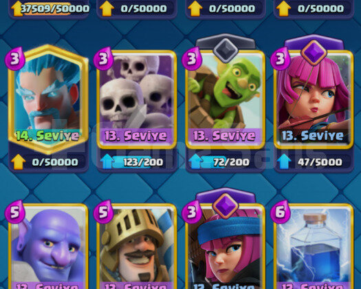 IDsiz | TH 13 | Royale 42 LVL | DOLU