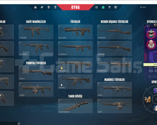 Dia 1 smurfff